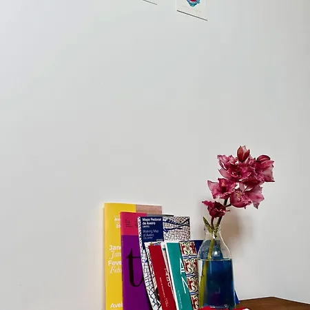 Refugio Com Jardim No Coracao De Aveiro