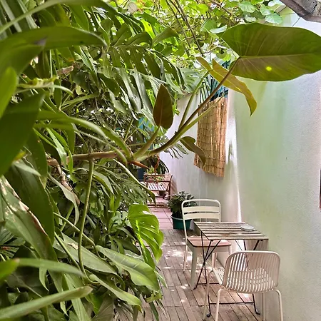 Daire Refugio Com Jardim No Coracao De Aveiro