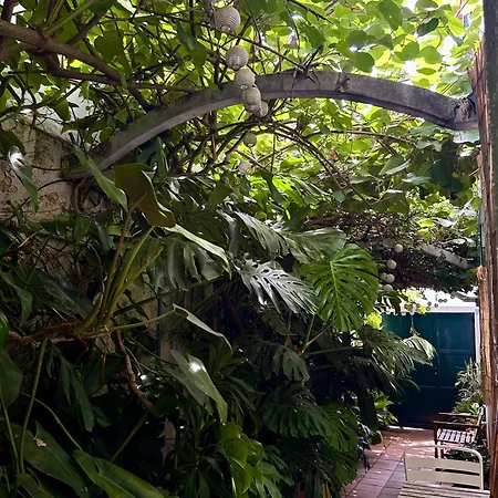 Refugio Com Jardim No Coracao De Daire Aveiro