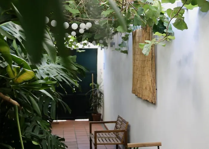 Apartment Refugio Com Jardim No Coracao De