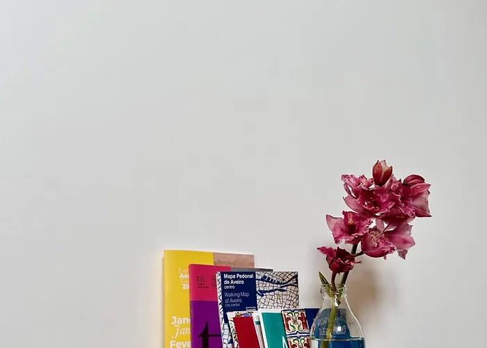 Refugio Com Jardim No Coracao De Aveiro